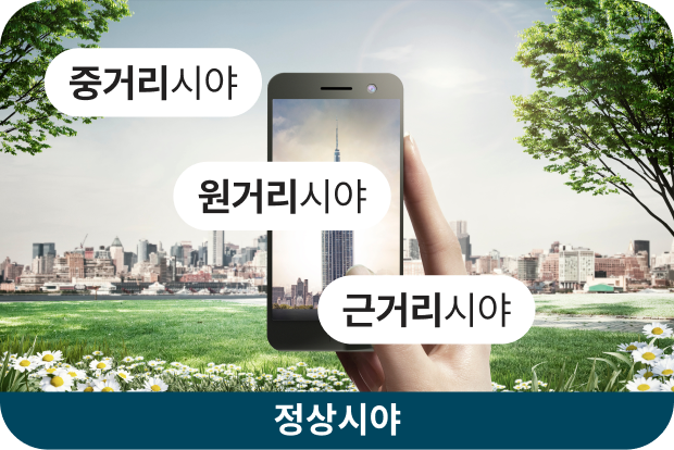 정상시야