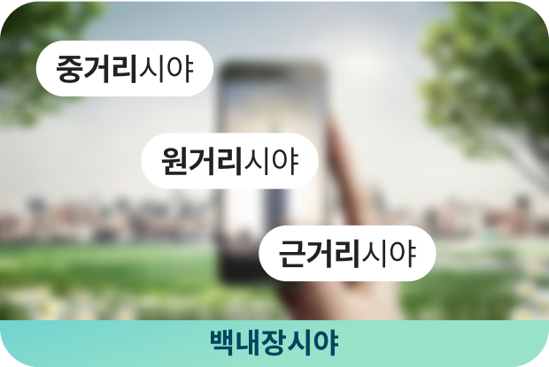 백내장시야